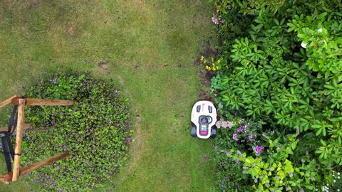 Bild
