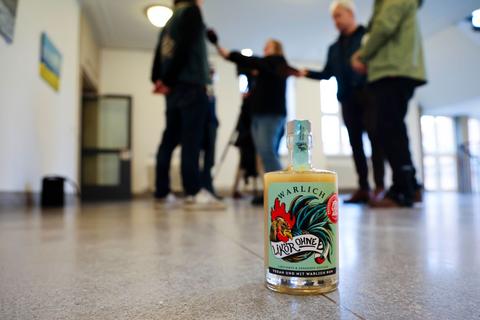 Bild