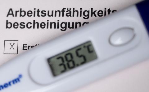 Bild zur News