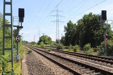 Bild zur News